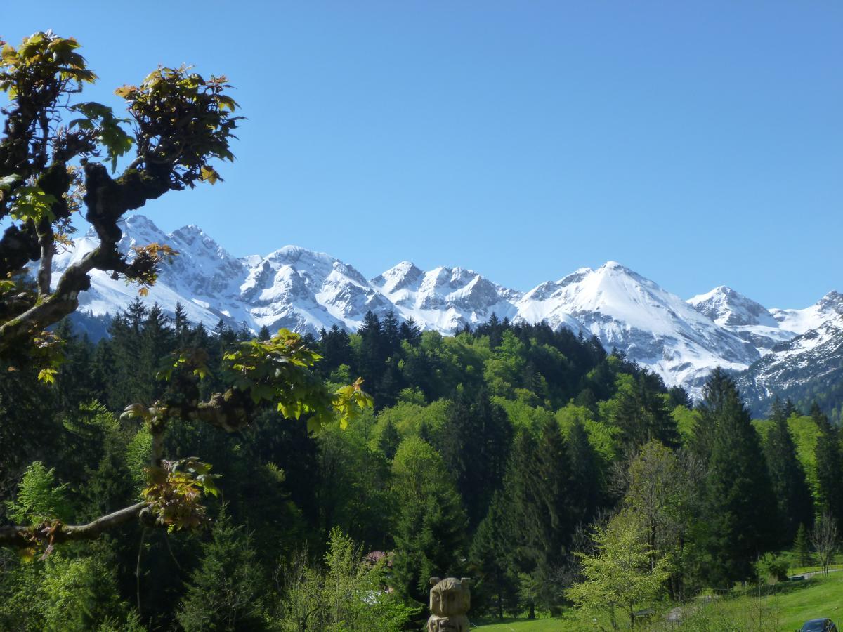 اوبرستدورف Alpengasthof Hotel Schwand المظهر الخارجي الصورة